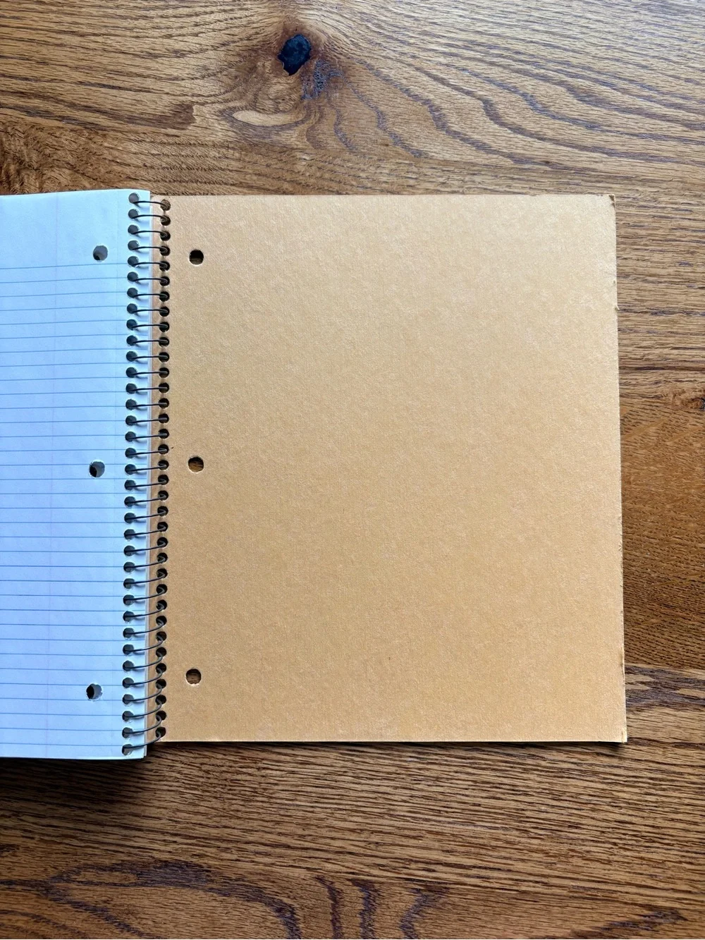 Vintage Princeton Spiral College- Ruled 3 Subject Notebook in Orange- Top Flight